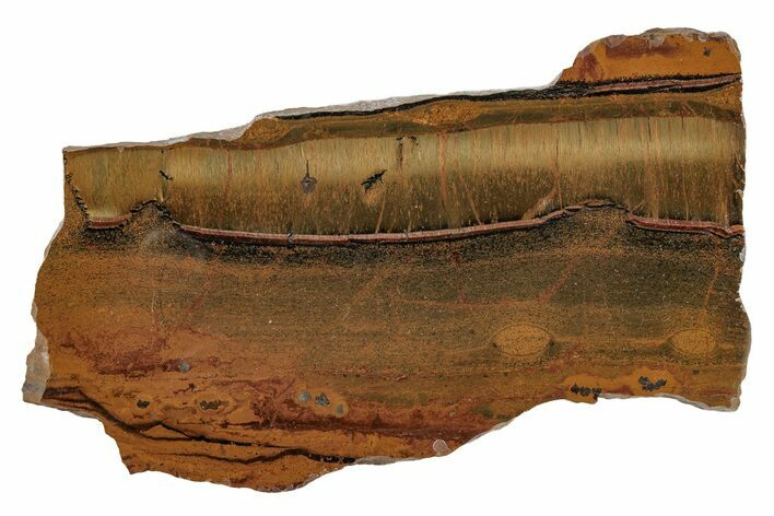 Polished Packsaddle Tiger Eye Slab - Western Australia #216773
